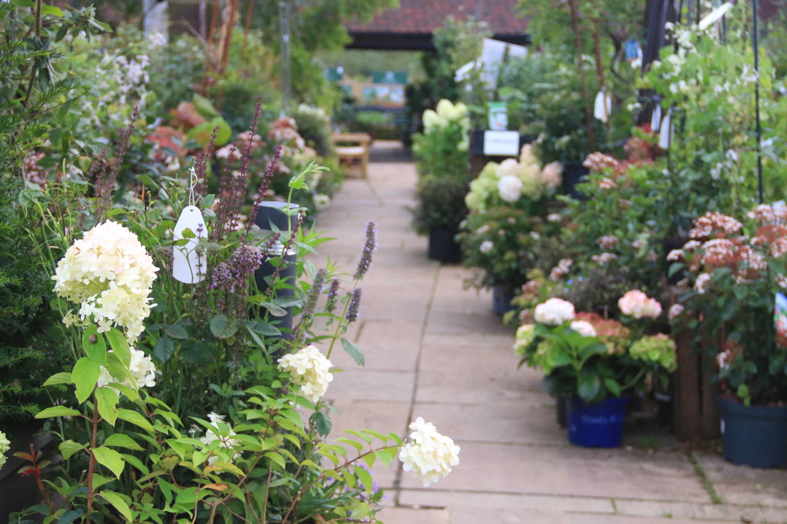 Preston Bissett Nurseries & Country Shop Visit Buckinghamshire
